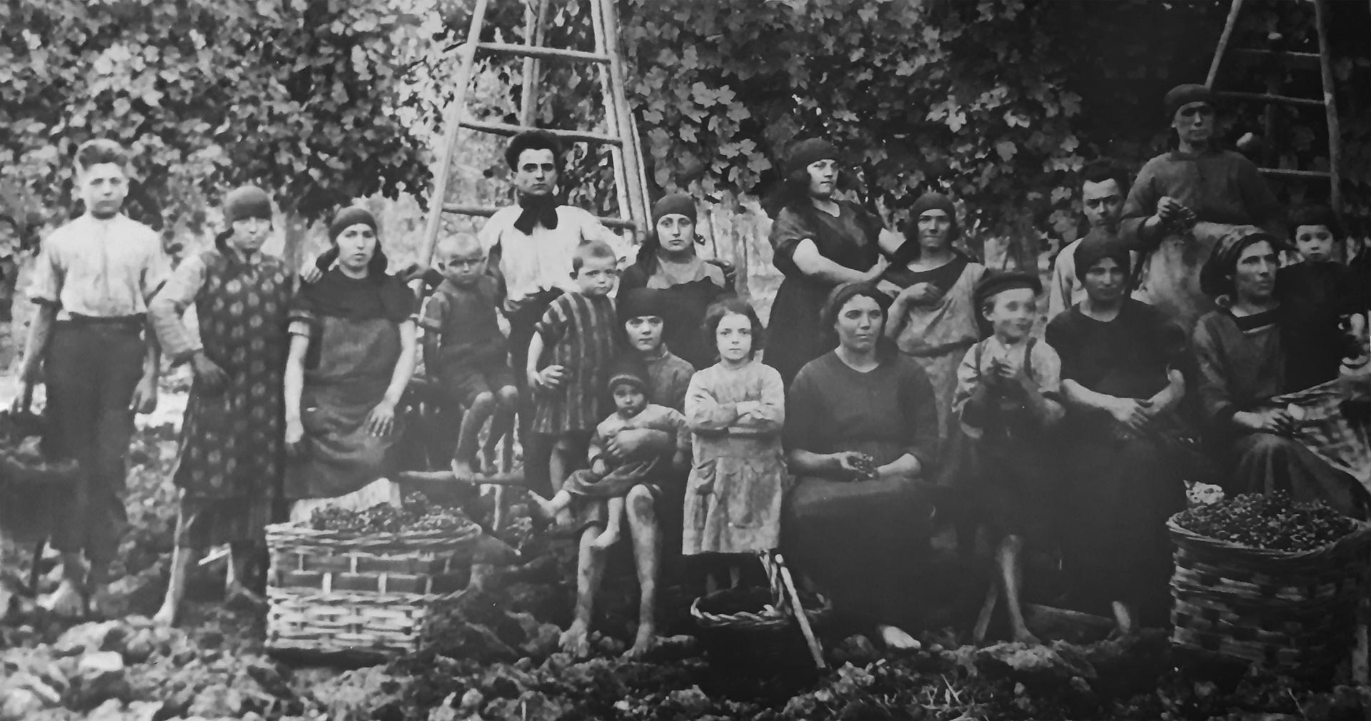 giacobazzi storia primi passi (4)